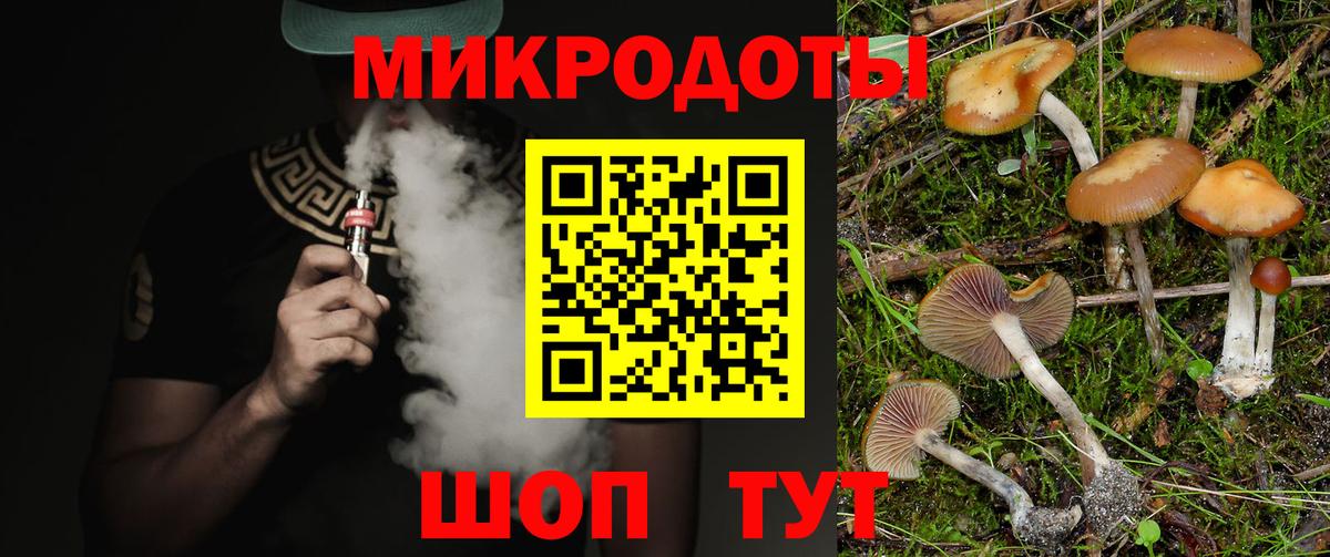Нижнекамск  Галлюциногенные грибы прущие грибы  Вход с VPN 