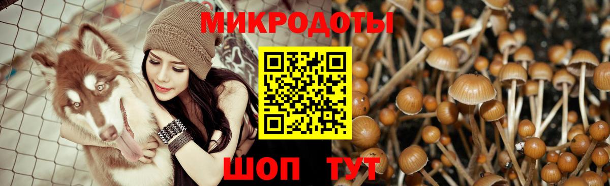 Меф Нижнекамск