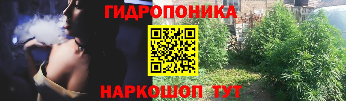 Нижнекамск  Марихуана SATIVA & INDICA  Вход с VPN  Каннабис SATIVA & INDICA 
